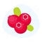 Vector cranberry icon. Flat cartoon berry illustration