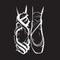 Vector creative illustration of ballerina`s foots in pointe