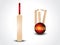 Vector cricket bat & ball with stumps