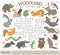 Vector crossword puzzle with forest animals. Bright and colorful quiz for children.