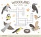 Vector crossword puzzle with forest birds. Bright and colorful quiz for children.