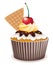 vector cupcake with cherry