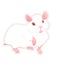 Vector curious white hamster