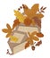 Vector cute autumn illustration in flat style. envelopes and autumn foliage, pumpkins, berries.