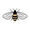 Vector cute bee illustration in flat style. Cartoon flying honey bee character isolated on white background. Buzzing
