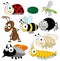 Vector cute bugs and insects isolated