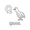 Vector Cute Cartoon Animals Alphabet. Quail Coloring Pages