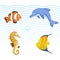 Vector cute different sea and ocean animals set. Colorful striped fish, seahorse, clown fish, dolphin.