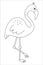 Vector cute flamingo outline. Funny tropical exotic bird black and white illustration. Fun coloring page for children. Jungle