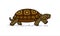 Vector cute land tortoise with patterned shell, side view; isolated on a white background; symbol of slowness