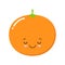 Vector of cute mandarin isolated on white. Cartoon style. Cute funny christmas icon.