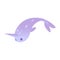 Vector cute narwhal character with horn flat icon