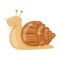 Vector cute pet smiling snail Giant African land snail, Achatina fulica on white background.