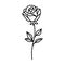 Vector Cute Stylish Rose Icon