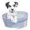 Vector of dalmation dog in bathtub.