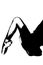 vector dance position of ballerina, legs crossed with ballet pointe, half-length slipper, body expression image on transparent