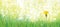 Vector dandelion nature background.