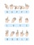 Vector deaf-mute alphabet with hand gestures set