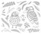 Vector decorative Australian birds - Scarlet Robin and Kookaburra in monochrome