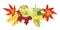 Vector decorative decor headline element with autumn bouquet