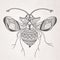 Vector decorative insect butterfly