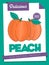 Vector delicious peach poster