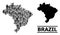 Vector Demographics Mosaic Map of Brazil and Solid Map