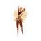 Vector design of attractive Brazilian woman in dancing action. Latino woman in bikini and headdress with feathers