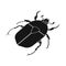 Vector design of beetle and green logo. Collection of beetle and dung vector icon for stock.