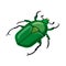 Vector design of beetle and green sign. Set of beetle and dung stock symbol for web.
