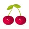Vector design of cherry and vitamin symbol. Set of cherry and berry vector icon for stock.