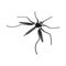 Vector design of gnat and mosquito icon. Set of gnat and virus stock symbol for web.