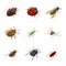 Vector design of insect and fly symbol. Collection of insect and entomology vector icon for stock.