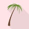 Vector design of palm and tall sign. Collection of palm and coco vector icon for stock.