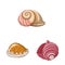 Vector design of seashell and mollusk icon. Set of seashell and seafood stock symbol for web.