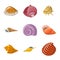 Vector design of seashell and mollusk sign. Collection of seashell and seafood  vector icon for stock.