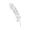 Vector design of spikelet and rice sign. Set of spikelet and growth vector icon for stock.