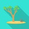 Vector design of tree and tumbleweed icon. Set of tree and western stock vector illustration.