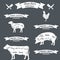 Vector diagram cut carcasses of chicken, pig, cow