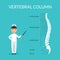 Vector diagram. Spine segments: cervical, thoracic, lumbar, sacrum, coccyx. Vertebral column. Medical doctor male