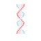 Vector DNA molecule helix spiral genetic code