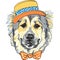 Vector dog Caucasian Shepherd Dog breed in hat and bow tie