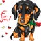 Vector dog dachshund with red flower