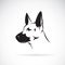 Vector of dog head German shepherd on white background, Pet.