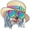 vector dog Lowchen in straw hat