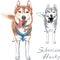 Vector dog Siberian Husky breed