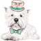 Vector dog West Highland White Terrier breed in ha