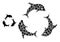 Vector Dolphin Trio Composition of Small Circles