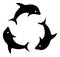 Vector Dolphin Trio Flat Icon Symbol