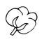 Vector doodle style element, drawing, cute cotton flower, coloring book